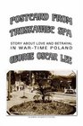 POSTCARD FROM TRUSKAWIEC  SPA Story about Love and Betrayal in War Time Poland