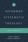 Reformed Systematic Theology Volume 3 Spirit and Salvation