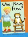 What Now Puss