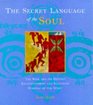 THE SECRET LANGUAGE OF THE SOUL A VISUAL GUIDE TO ENLIGHTENMENT AND DESTINY