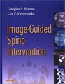 ImageGuided Spine Intervention