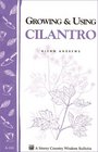 Growing and Using Cilantro Storey Country Wisdom Bulletin A181