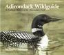 Adirondack Wildguide A Natural History of the Adirondack Park