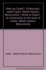 Beth yw Cadw Cyflwyniad i waith Cadw Welsh Historic Monuments  What is Cadw  an introduction to the work of Cadw Welsh Historic Monuments