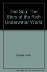 The sea The story of the rich underwater world