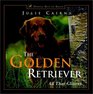 The Golden Retriever  All That Glitters
