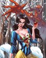 Grimm Fairy Tales Cover Art Book