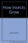 How Insects Grow