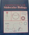 The Essentials of Molecular Biology