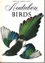 Audubon Birds