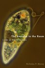 The Amoeba in the Room Lives of the Microbes