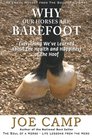 Why Our Horses Are Barefoot Everything We've Learned About the Health and Happiness of the Hoof