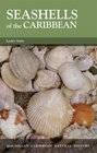 Seashells of the Caribbean 1990 publication