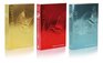 The Hunger Games Box Set: Foil Edition