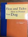 Fleas and ticks How to protect your dog