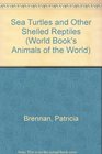 Sea Turtles and Other Shelled Reptiles