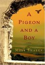 A Pigeon and a Boy A Novel