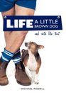 Life A Little Brown Dog and Shite Like That