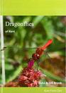 Dragonflies of Kent An Account of Their Biology History and Distribution