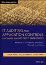 IT Auditing and Application Controls for Small and MidSized Enterprises Revenue Expenditure Inventory Payroll and More