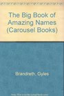THE BIG BOOK OF AMAZING NAMES