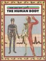 The How and Why Activity Wonder Book of the Human Body