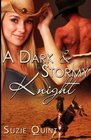 A Dark  Stormy Knight A McKnight Romance