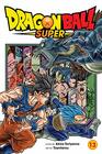 Dragon Ball Super Vol 13