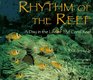 Rhythm of the Reef: A Day in the Life of the Coral Reef