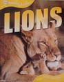 Animal Lives Lions