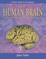 Study Guide to Accompany The Human Brain