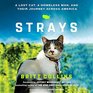 Strays A Lost Cat a Homeless Man and Their Journey across America