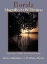 Florida Magnificent Wilderness State Lands Parks And Natural Areas