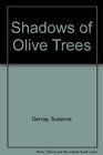 Shadows of Olive Trees