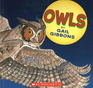 Owls