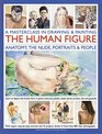 A Masterclass in Drawing  Painting the Human Figure Anatomy The Nude Portraits And People