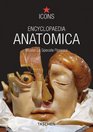 Encyclopaedia Anatomica