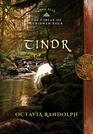 Tindr Book Five of The Circle of Ceridwen Saga