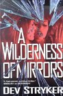 A Wilderness of Mirrors