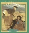 Llamas