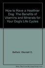 How to Have a Healthier Dog  The Benefits of Vitamins and Minerals for Your Dog's Life Cycles