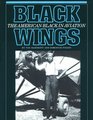 Black Wings The American Black in Aviation