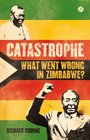 Catastrophe What Went Wrong in Zimbabwe