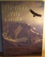The Flight of the Condor A Wildlife Exploration of the Andes