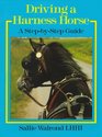 Driving a Harness Horse A StepByStep Guide