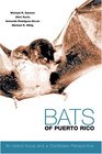 Bats Of Puerto Rico An Island Focus And A Caribbean Perspective