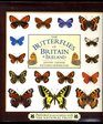 Butterflies of Britain  Ireland