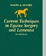 Current Techniques in Equine Surgery and Lameness