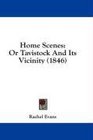 Home Scenes Or Tavistock And Its Vicinity