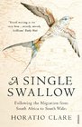 A Single Swallow Following an Epic Journey from South Africa to South Wales Horatio Clare